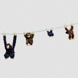 奶球抖动舞蹈视频大全
